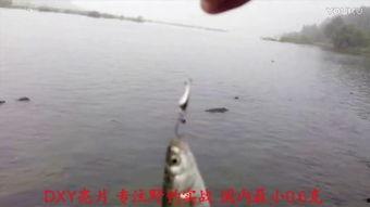 最强国产雷强在线观看视频,最强国产雷强在线视频大揭秘