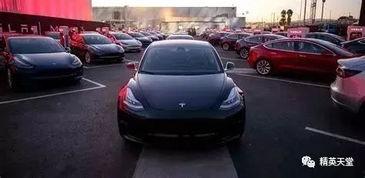 国产车震在线,探索国内汽车行业新趋势